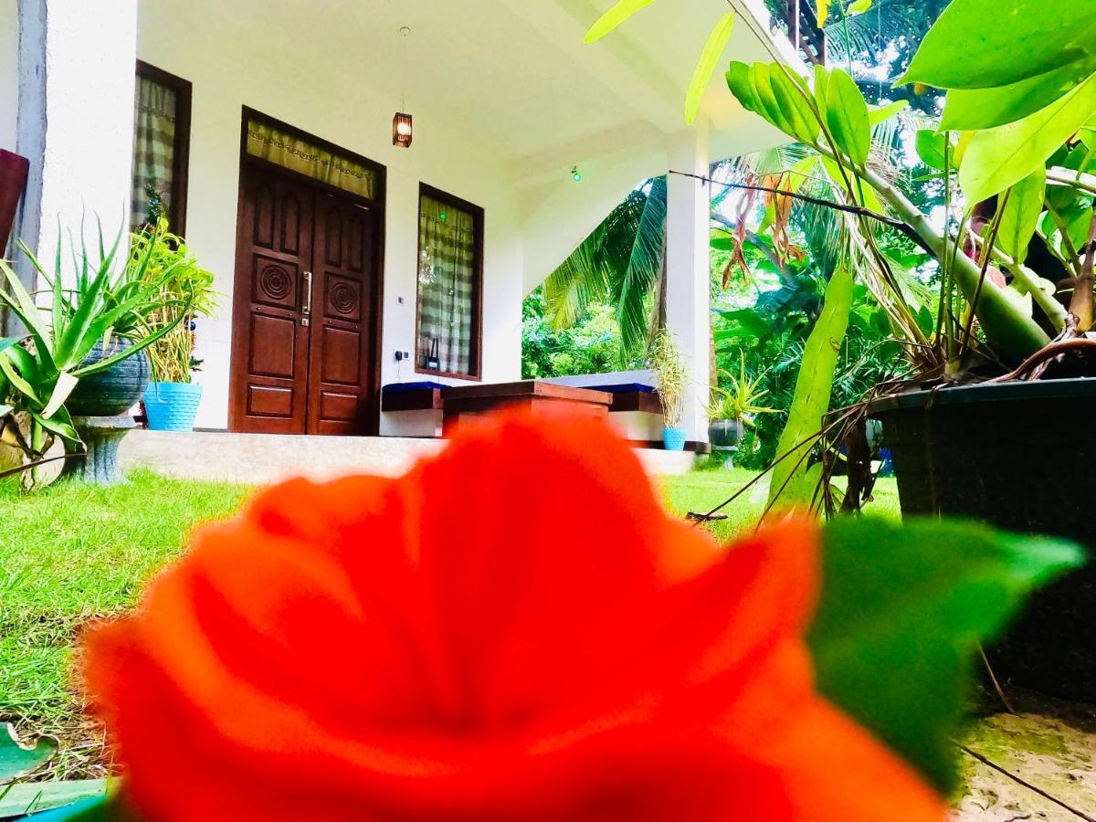 Mountain Seaview Cabanas Tangalle Buitenkant foto