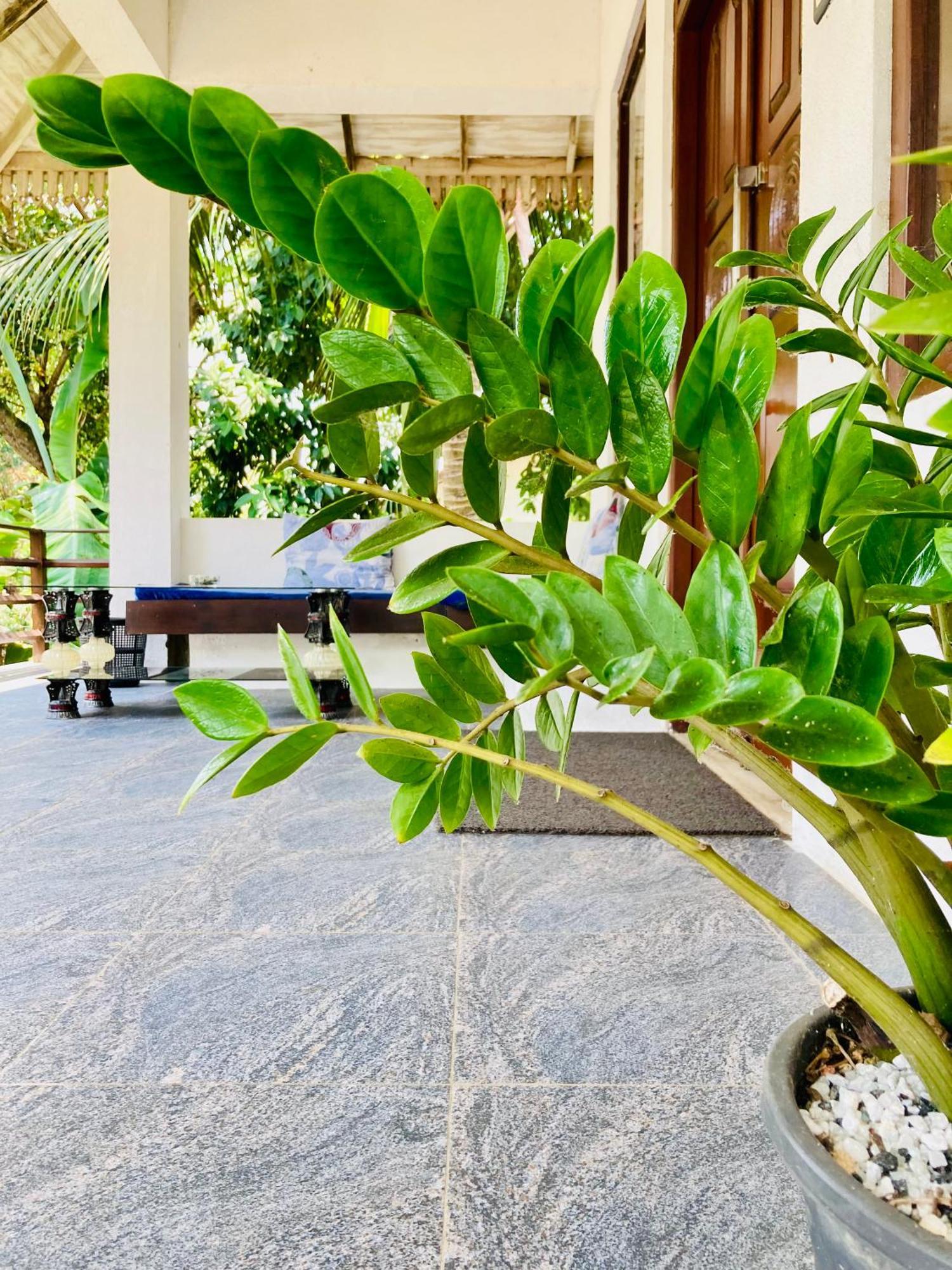Mountain Seaview Cabanas Tangalle Buitenkant foto