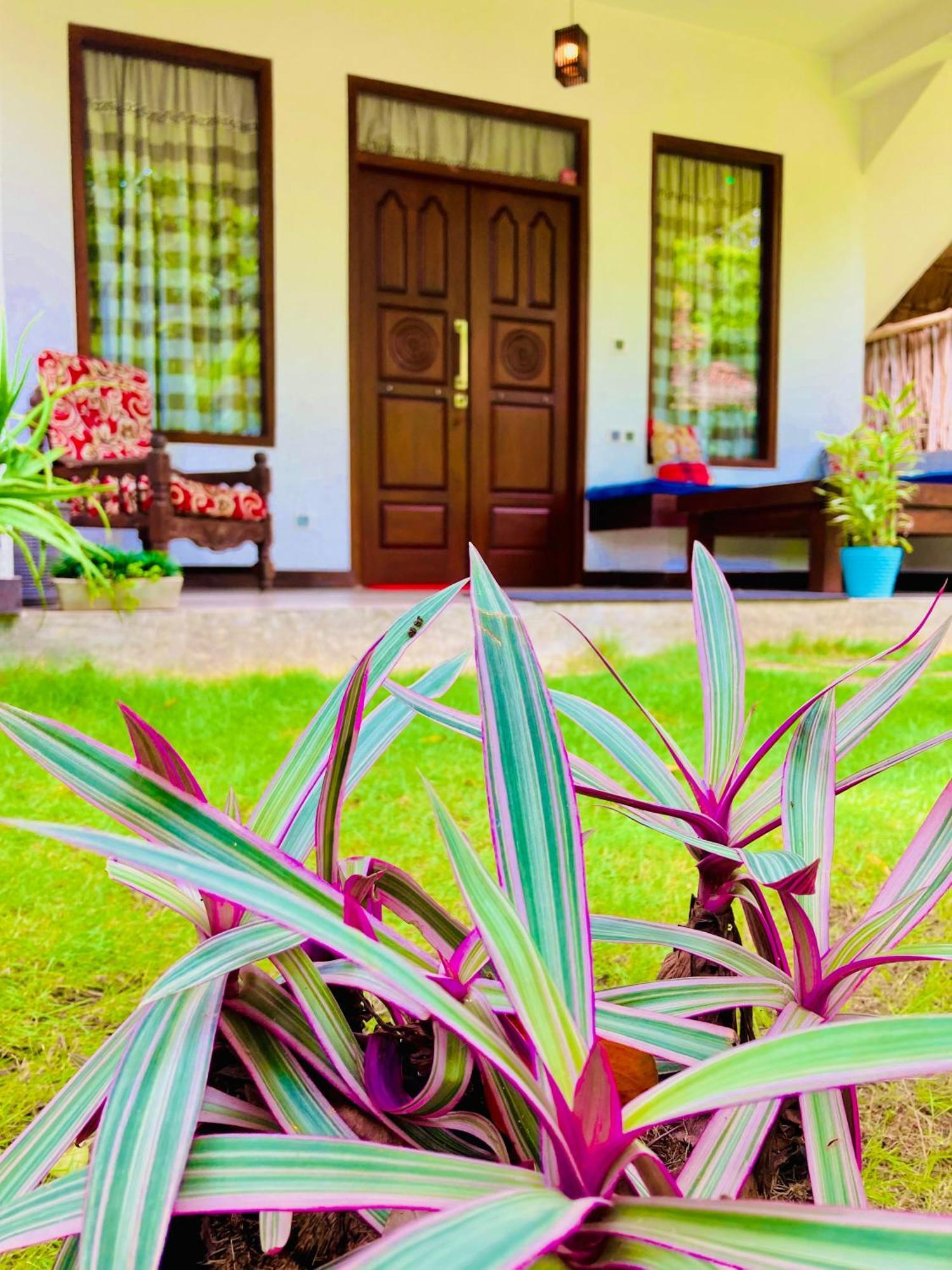 Mountain Seaview Cabanas Hotel Tangalle Buitenkant foto